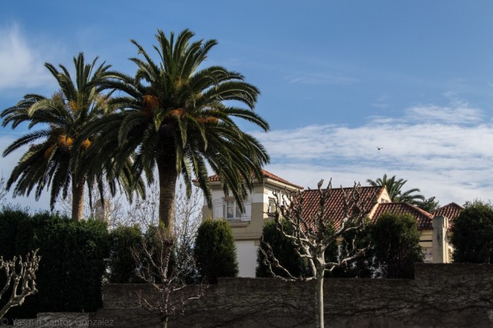 El arquitecto coruñés Rafael González Villar será el encargado en 1912 del proyecto de esta villa, situada en el extremo oeste de la ciudad jardín.