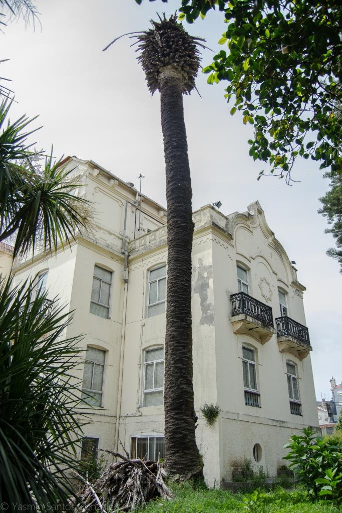 El inmueble es proyectado en 1918 por el arquitecto francés de origen polaco Michel Pacewicz como residencia particular de Manuel Montes, que había hecho fortuna en Chile.