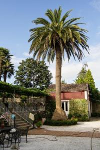 La vivienda es promovida en el año 1918 por el emigrante Vicente Ramos Rodríguez, emigrado en Argentina, quien funda la primera línea de autobuses de Buenos Aires.
