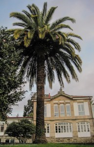 El proyecto de los antiguos Pabellones Sanitarios de Vigo fue redactado por los arquitectos Francisco Esténs y Manuel Gómez Román.