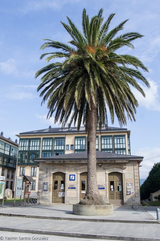 Se encontraba esta propiedad junto a la actual Plaza de España.