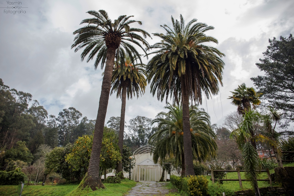 Con al menos cinco siglos de antigüedad, el Pazo de Lourizán es una propiedad enfocada principalmente hacia el uso agropecuario hasta su adquisición a finales del siglo XIX por el político gallego Eugenio Montero Ríos.