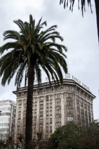 Los jardines son dedicados a la memoria del marino gallego en 1871. El palmeral está incluido en el catálogo de Árbores e formacións senlleiras de Galicia para su protección.