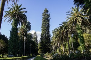 El origen del principal jardín de la capital de Galicia se remonta al siglo XVI, con la donación de los terrenos a la ciudad por parte del conde de Altamira.