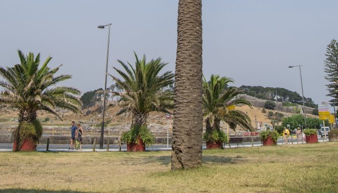 Cerca de la playa de A Concheira se levantaba a principios del siglo XX una barriada de casas de lujo, de los que hoy quedan restos como Villa Rosa o Villa Zoila.