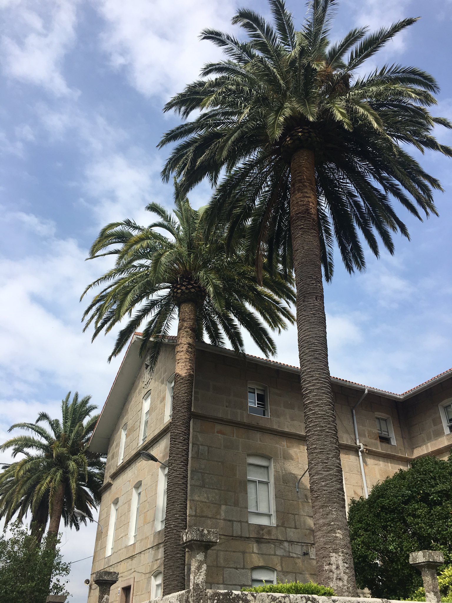El Centro de Recursos Educativos de la Once en la ciudad de Pontevedra abría sus puertas en el curso 1943-44. Por sus aulas han pasado más de 1000 estudiantes que han podido disfrutar de sus posibilidades pedagógicas.