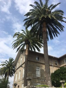 El Centro de Recursos Educativos de la Once en la ciudad de Pontevedra abría sus puertas en el curso 1943-44. Por sus aulas han pasado más de 1000 estudiantes que han podido disfrutar de sus posibilidades pedagógicas.