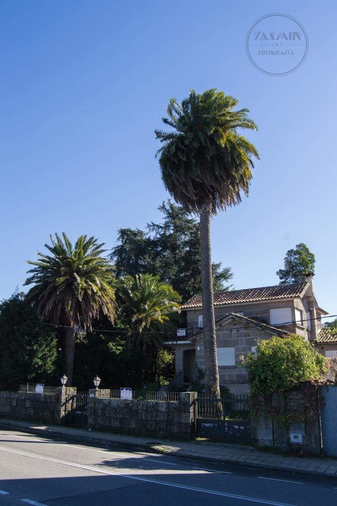Frente a la carretera que une Pontevedra con Marín y junto a la nave de Tecnopesca se sitúa esta villa. El chalé, de planta en L, se distribuye en un semisótano y dos alturas, accediéndose a través de una escalera que sube hasta un pequeño porche.