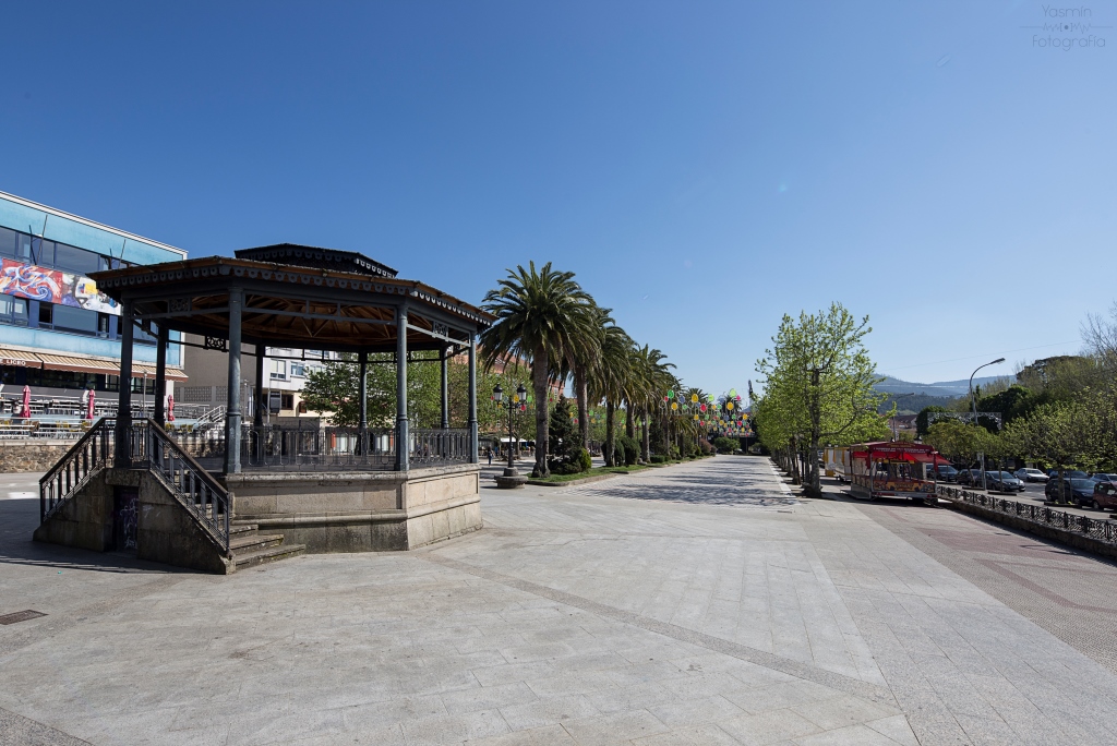 Junto a los Jardines de Felipe de Castro se yergue un palmeral en una zona que comenzará a ser urbanizada en 1880, sufriendo reformas y ampliaciones en 1926 y 1950 y destacando en uno de sus extremos el palco de la música.