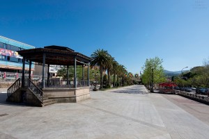 Junto a los Jardines de Felipe de Castro se yergue un palmeral en una zona que comenzará a ser urbanizada en 1880, sufriendo reformas y ampliaciones en 1926 y 1950 y destacando en uno de sus extremos el palco de la música.