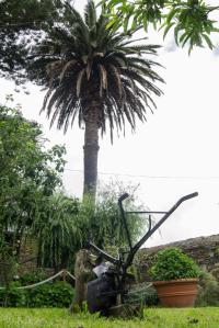 Levantada hacia 1910, la denominación responde al color con el que estaba pintada tanto originalmente como ahora.