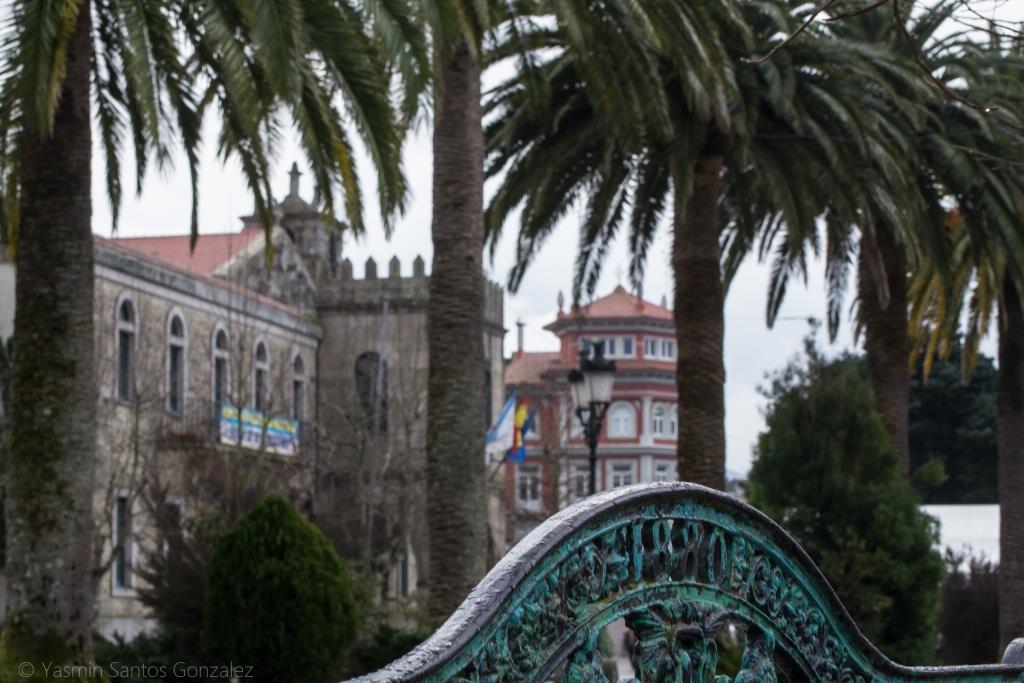 Junto a los Jardines de Felipe de Castro se yergue un palmeral en una zona que comenzará a ser urbanizada en 1880, sufriendo reformas y ampliaciones en 1926 y 1950 y destacando en uno de sus extremos el palco de la música.