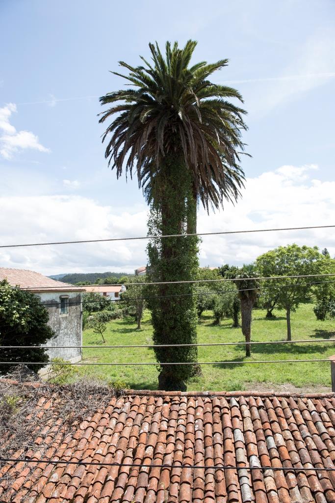 Muy próxima a les Escuelas de San Adrián, en la parroquia de San Adrián de Veiga, Ortigueira, se encuentra esta casa de campo de gran sencillez.