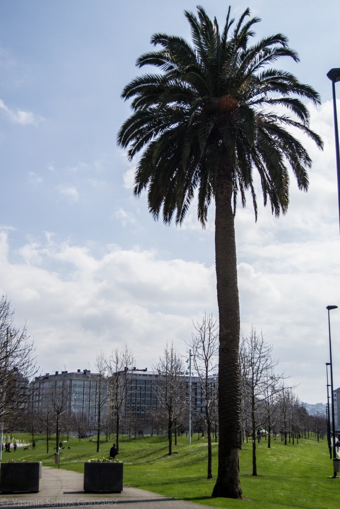 Convertido en una zona marginal a las afueras de A Coruña, entre el polígono de A Grela y la ronda Outeiro, el pueblo de Vioño será objeto de una intensa operación urbanística para su integración en la ciudad.