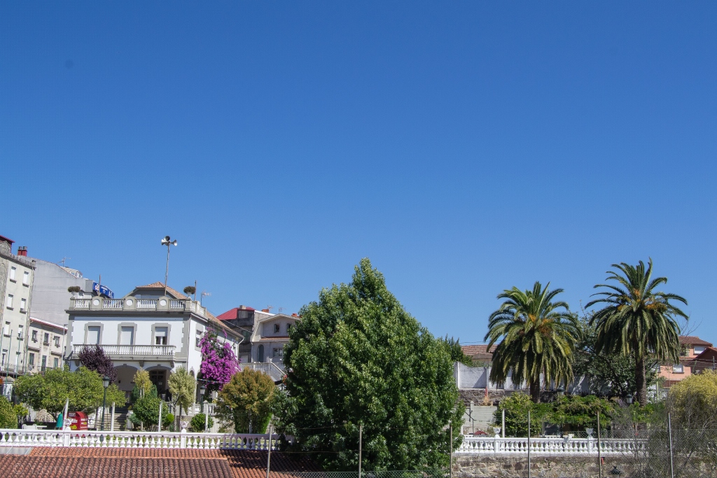 Parece que esta encantadora casa situada a medio camino en la avenida Ramón Nieto perteneció a Rafael Portanet, conservero, Delegado del Estado en la Zona Franca de Vigo y Alcalde de la ciudad durante varios años.