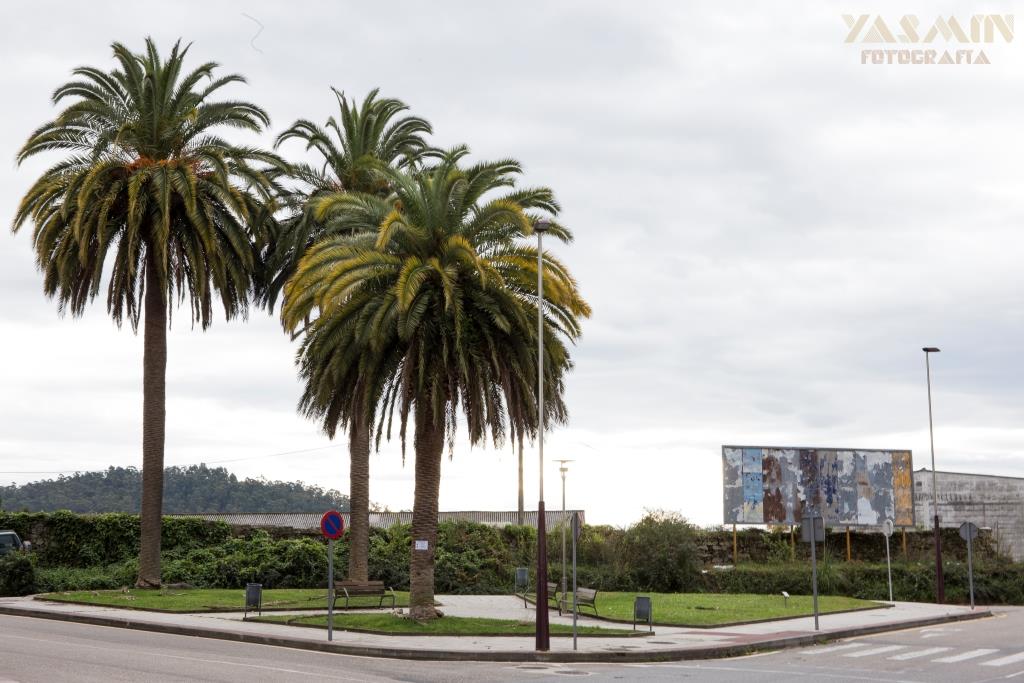 La propiedad perteneció al comerciante pontevedrés Severino Martínez, dueño de la tienda de ultramarinos “La Abundacia”.