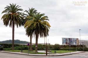 La propiedad perteneció al comerciante pontevedrés Severino Martínez, dueño de la tienda de ultramarinos “La Abundacia”.