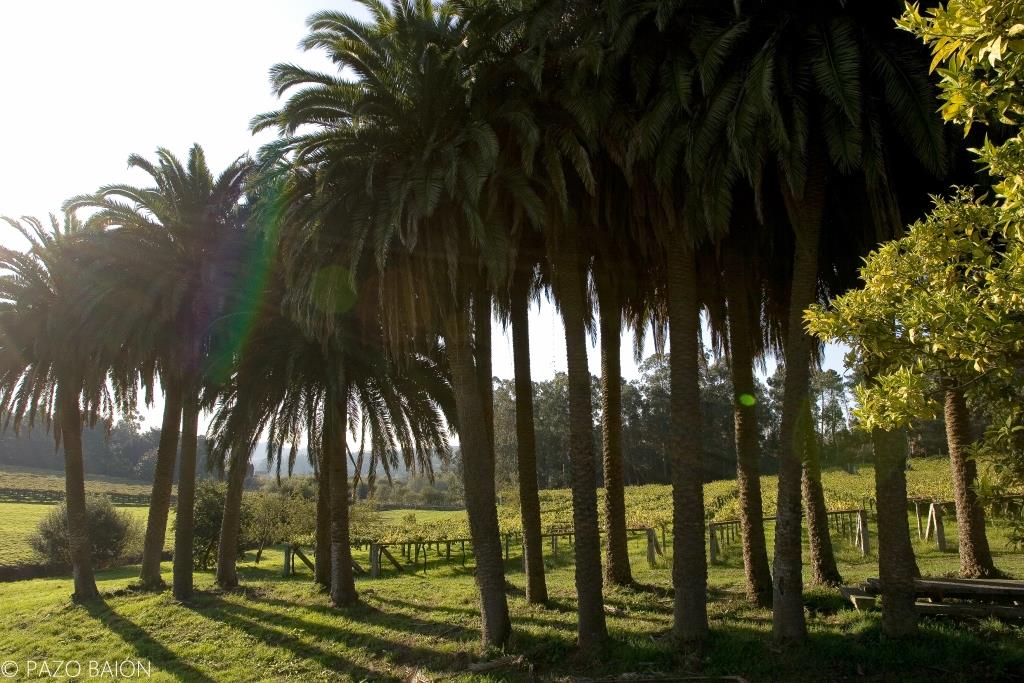 Las primeras referencias de esta propiedad de unas 30 hectáreas de extensión datan del siglo XV, relacionándola con la familia de los Sarmiento.