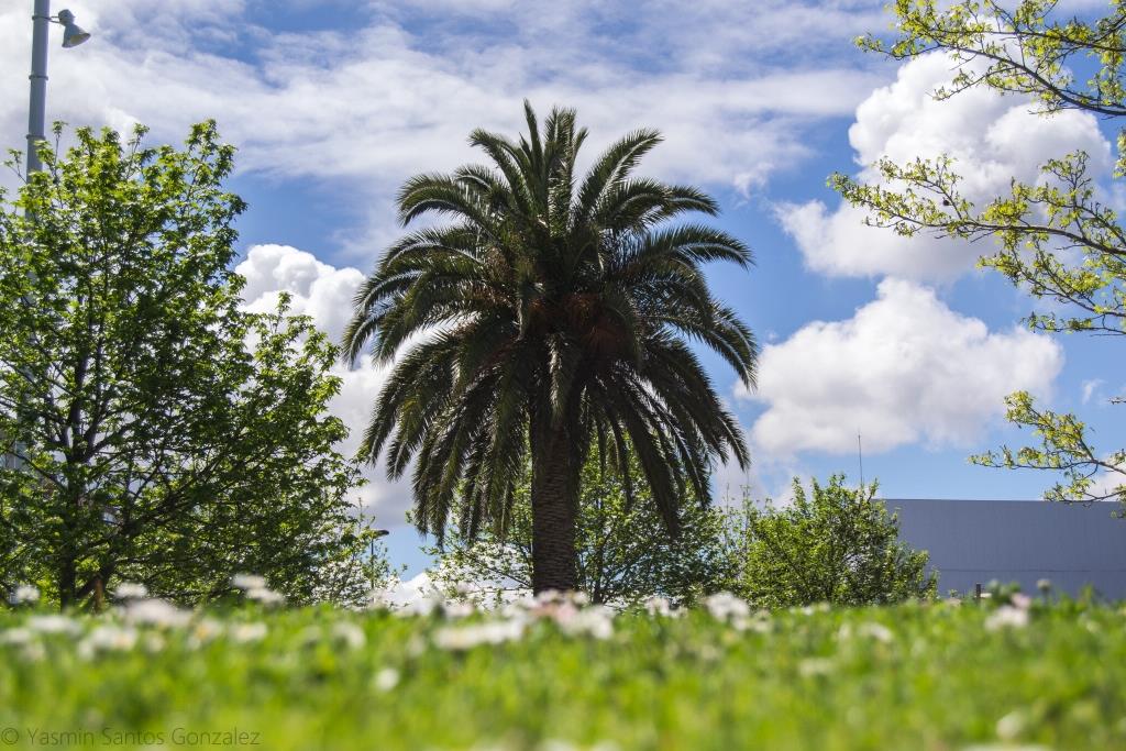 Convertido en una zona marginal a las afueras de A Coruña, entre el polígono de A Grela y la ronda Outeiro, el pueblo de Vioño será objeto de una intensa operación urbanística para su integración en la ciudad.