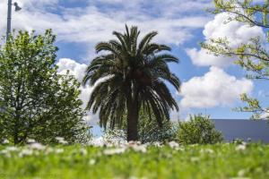 Convertido en una zona marginal a las afueras de A Coruña, entre el polígono de A Grela y la ronda Outeiro, el pueblo de Vioño será objeto de una intensa operación urbanística para su integración en la ciudad.
