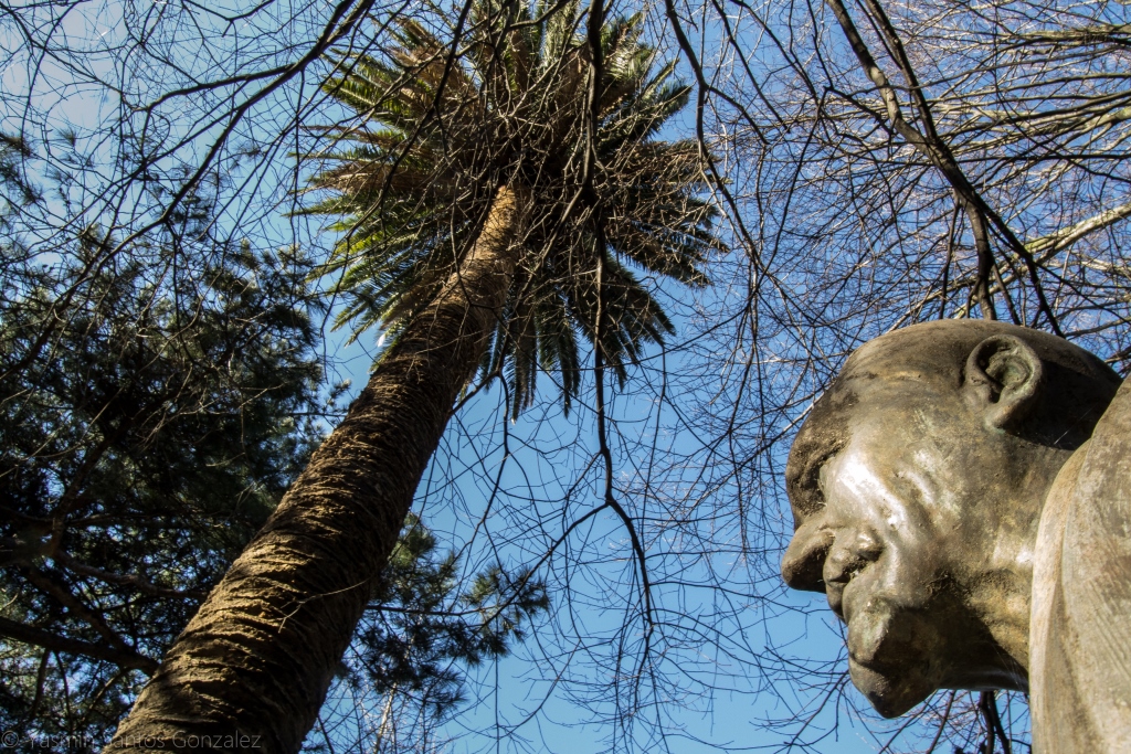 Los jardines son dedicados a la memoria del marino gallego en 1871. El palmeral está incluido en el catálogo de Árbores e formacións senlleiras de Galicia para su protección.