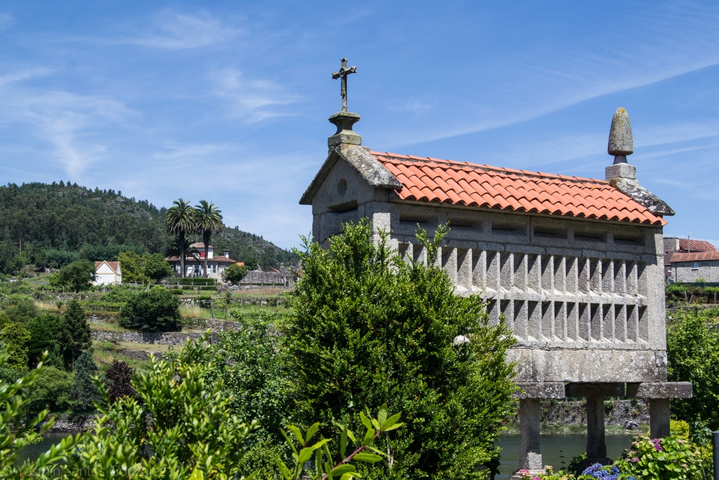 En 1921 la finca es adquirida por Avelino Justo Cambeses, pero desconocemos quién y en qué momento plantó las palmeras canarias.