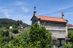 En 1921 la finca es adquirida por Avelino Justo Cambeses, pero desconocemos quién y en qué momento plantó las palmeras canarias.