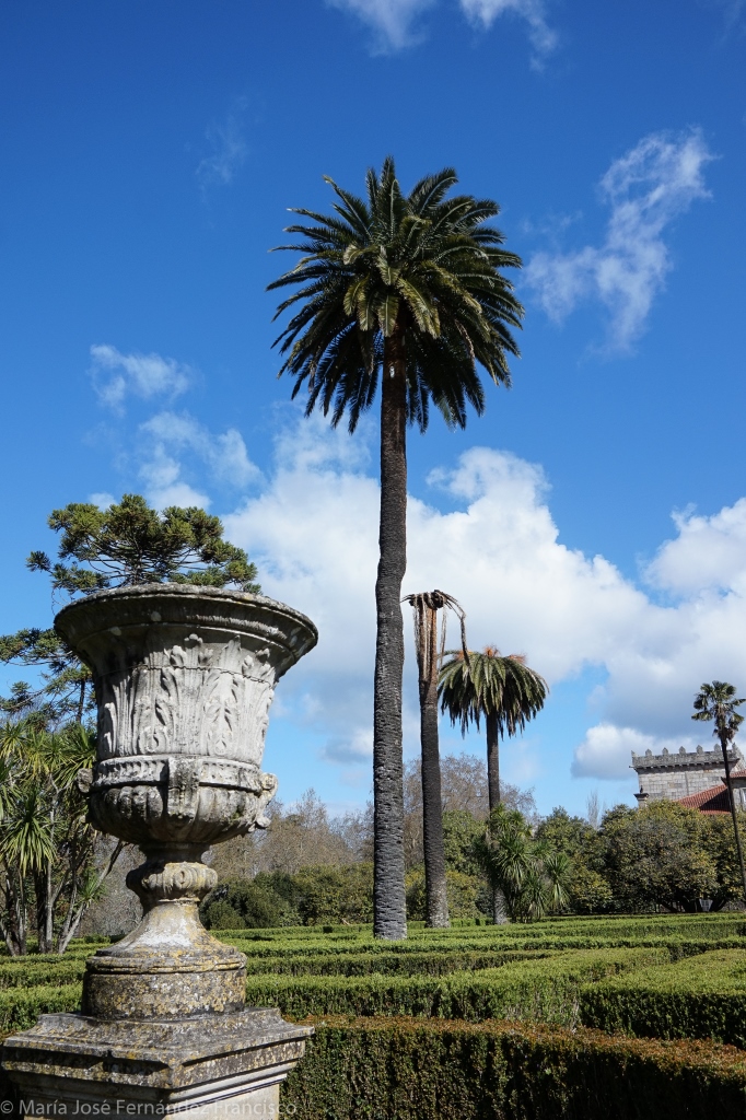 En el último año han sido tratadas hasta siete palmeras en este parque debido a la infección por el picudo rojo, parece que sin demasiado éxito.