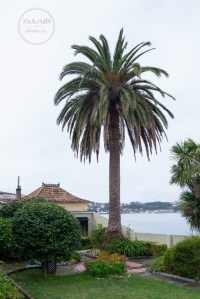 Nos encontramos ante un curioso y atractivo ejemplo de espacio de asueto, ubicado en la playa de Agrelo, a las afueras de la localidad.