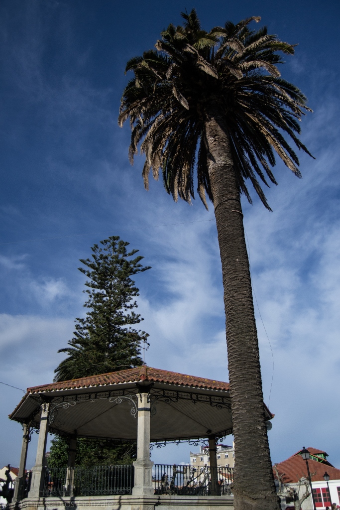 El espacio rinde homenaje al indiano Félix Soage Villarino, que sufragó la construcción del mercado y la restauración de la colegiata a principios del siglo XX, entre otras cosas.