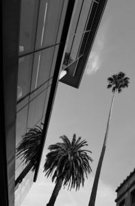 Parece que el hoy conocido como Hotel Pazo los Escudos fue diseñado por el arquitecto vigués Antón Román Conde a encargo de la familia Sensat, y construido a mediados del siglo XX en el lugar de Roade.