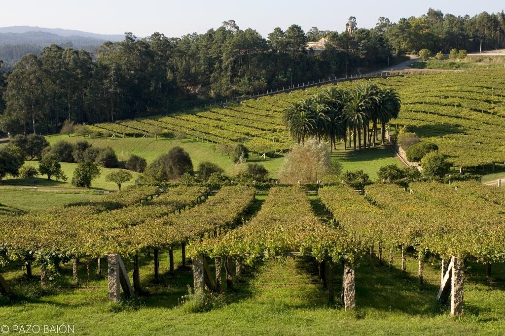 Las primeras referencias de esta propiedad de unas 30 hectáreas de extensión datan del siglo XV, relacionándola con la familia de los Sarmiento.