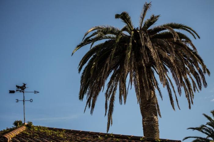 El espacio rinde homenaje al indiano Félix Soage Villarino, que sufragó la construcción del mercado y la restauración de la colegiata a principios del siglo XX, entre otras cosas.