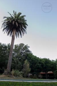 El inmueble era la vivienda de los capellanes de la basílica de A Escravitude.
