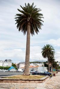 La construcción de este espacio está asociada a Julio Dávila Díaz, geógrafo y escritor emigrado en Uruguay y Argentina.