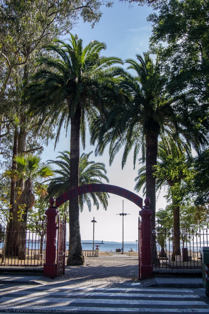 Entre la playa de Compostela y la vía del tren que une Vilagarcía con Carril se encuentra una curiosa propiedad con uno de los jardines botánicos privados más importantes de Galicia.