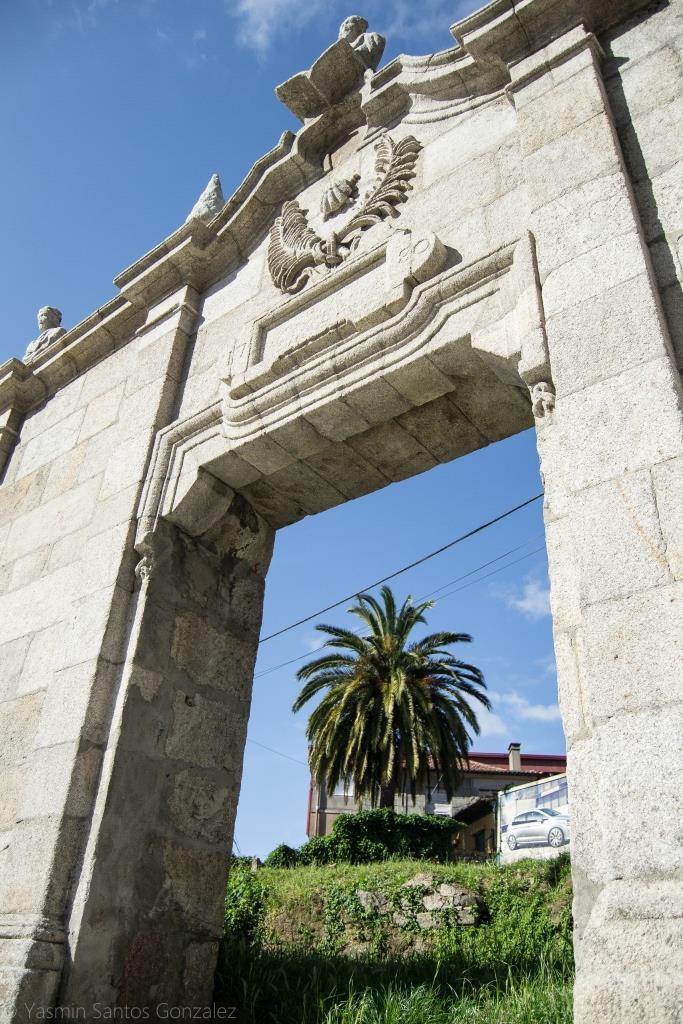 La palmera se yergue en una vivienda que lleva décadas abandonada. La contemplamos a través de la puerta que daba acceso a la Villa de Esperanza Davila, hoy trasladada a la plaza de Santa Rita.
