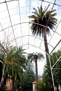 Con al menos cinco siglos de antigüedad, el Pazo de Lourizán es una propiedad enfocada principalmente hacia el uso agropecuario hasta su adquisición a finales del siglo XIX por el político gallego Eugenio Montero Ríos.