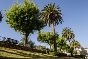 A principios del siglo XX la capital de Galicia expande su entramado urbano hacia el sur, mediante la apertura de calles como Senra, Hórreo o Carreira do Conde, avenidas que son ejecutadas con todo el cuidado y por donde la población de la ciudad vieja acostumbra a pasear.