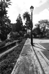 Los actuales jardines se asientan sobre la antigua parte norte del parque del Marqués de Figueroa, reservada en 1911 para la construcción de un inmueble.